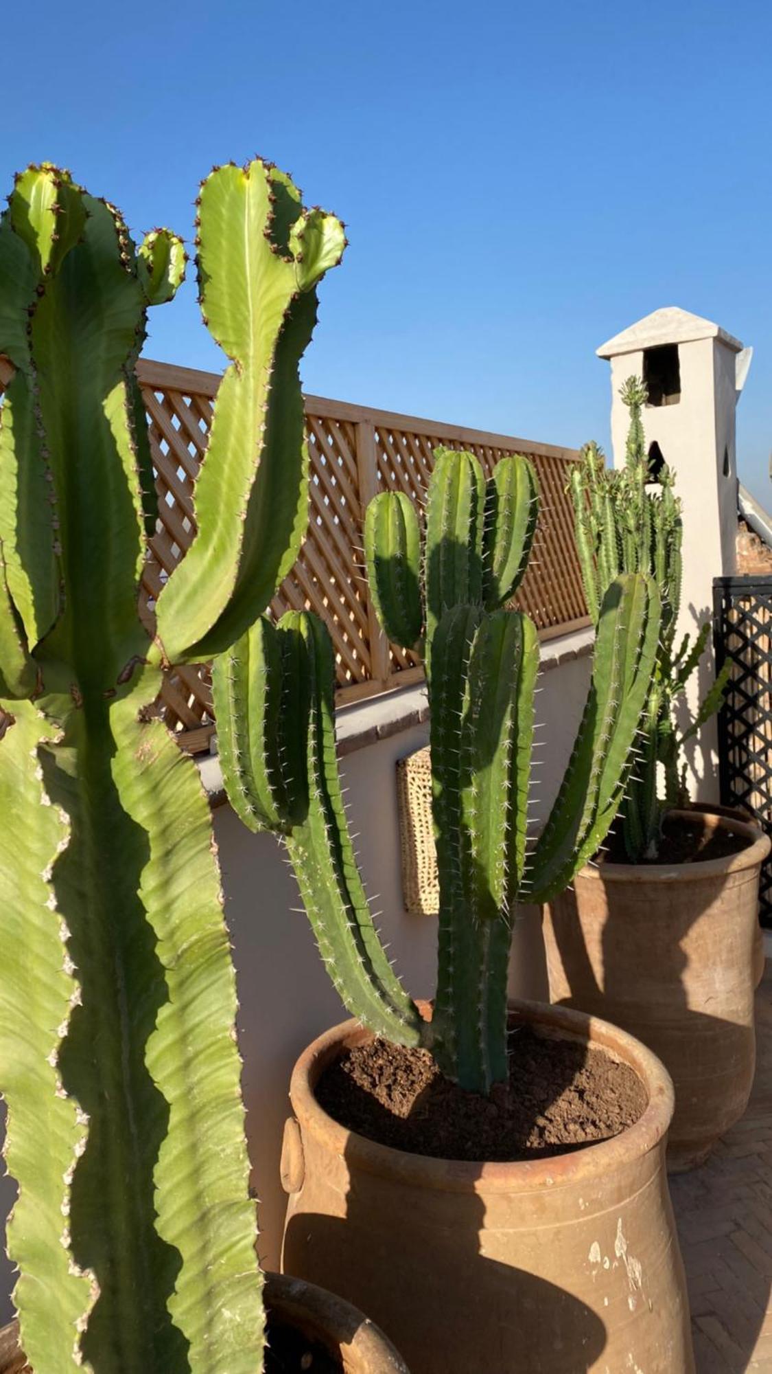 Riad Gasaembre Touareg Marrakesh Exterior photo
